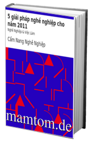 5 Giải Pháp Nghề Nghiệp Cho Năm 2011