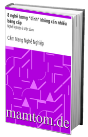 8 Nghề Lương Đỉnh Không Cần Nhiều Bằng Cấp