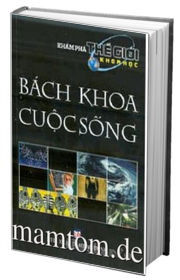 Bách Khoa Cuộc Sống