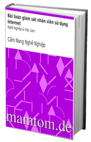 Bài Toán Giám Sát Nhân Viên Sử Dụng Internet