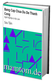 Bằng Cấp Chưa Đủ Để Thành Công