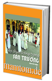Bầy Chim Trắng Trong Sân Trường