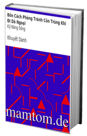 Bốn Cách Phòng Tránh Côn Trùng Khi Đi Dã Ngoại