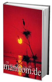 Bóng Nhạn Chiều Tà