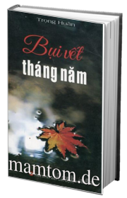 Bụi Vết Tháng Năm