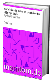 Cách Bảo Mật Thông Tin Trên Hồ Sơ Tìm Việc Trực Tuyến