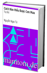Cách Nào Hiểu Được Cơn Mưa