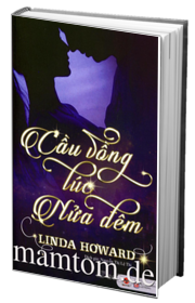 Cầu Vồng Lúc Nửa Đêm