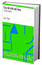 Cây Bồ Kết Nở Hoa