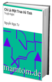 Chỉ Là Một Trưa Vô Tình