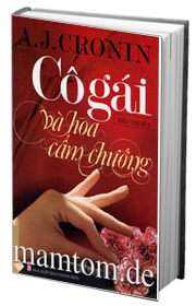 Cô Gái Và Hoa Cẩm Chướng