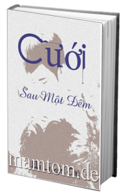 Cưới Sau Một Đêm