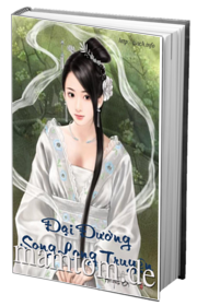 Đại Đường Song Long Truyện