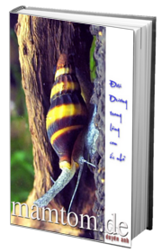 Đại Dương Trong Lòng Con Ốc Nhỏ