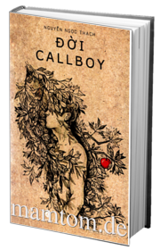 Đời Callboy