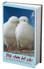 Đôi Chim Bồ Câu