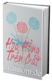 Hoa Hồng Trên Cát