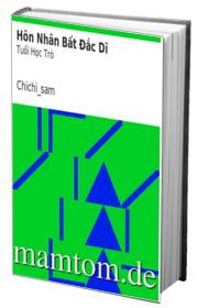 Hôn Nhân Bất Đắc Dĩ