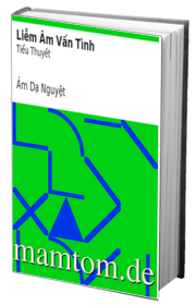 Liễm Âm Vấn Tình