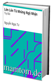 Lớn Lên Từ Những Ngộ Nhận