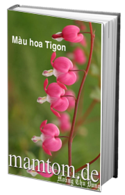 Màu Hoa Tigôn