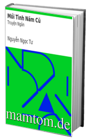 Mối Tình Năm Cũ