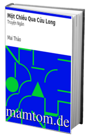 Một Chiều Qua Cửu Long