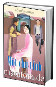 Một Chữ Tình