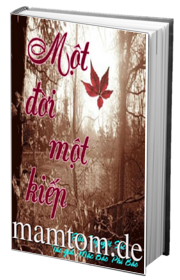 Một Đời Một Kiếp