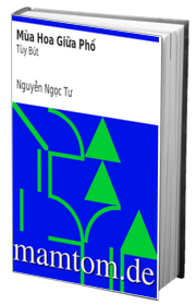 Mùa Hoa Giữa Phố