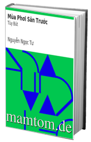 Mùa Phơi Sân Trước