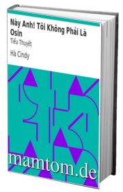 Này Anh Tôi Không Phải Là Osin