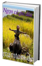 Ngọn Cỏ Gió Đùa