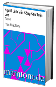 Người Lính Vẫn Sống Sau Trận Lửa