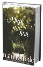 Nhật Ký Tái Hôn