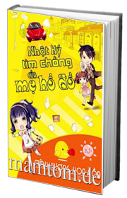 Nhật Ký Tìm Chồng Của Mẹ Hồ Đồ