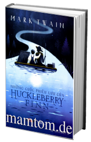 Những Cuộc Phiêu Lưu Của Huckleberry Finn