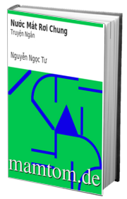 Nước Mắt Rơi Chung