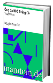 Ông Cà Bi Ở Trảng Cò