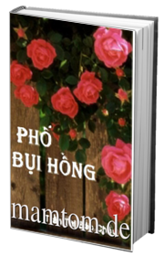 Phố Bụi Hồng