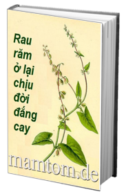 Rau Răm Ở Lại Chịu Lời Ắng Cay