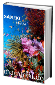 San Hô Nhỏ Bé