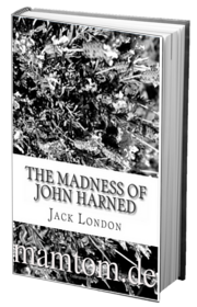 Sự Điên Rồ Của Giôn Han