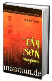 Tây Sơn Bi Hùng Truyện
