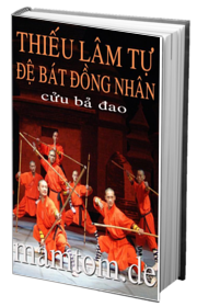 Thiếu Lâm Tự Đệ Bát Đồng Nhân