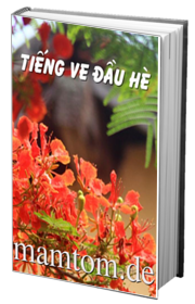 Tiếng Ve Đầu Hè