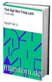 Tình Ngỡ Như Trăng Lạnh