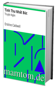 Tình Thư Nhất Bức