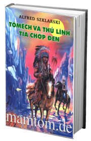 Tômếch Và Thủ Lĩnh Tia Chớp Đen