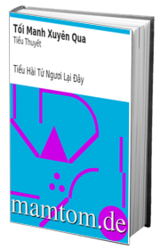 Tối Manh Xuyên Qua